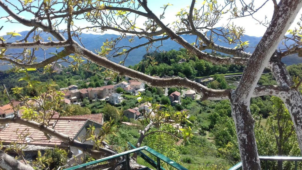 Villa Emmony Santo-Pietro-di-Venaco Luaran gambar